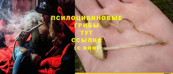 твердый Абаза