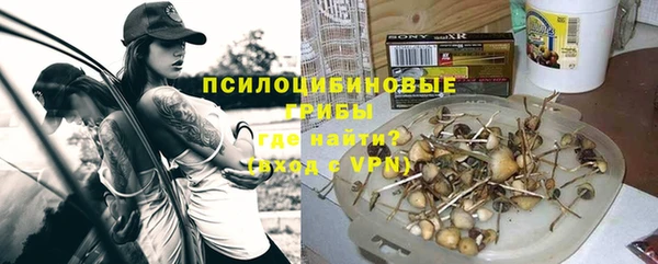дурь Алексин