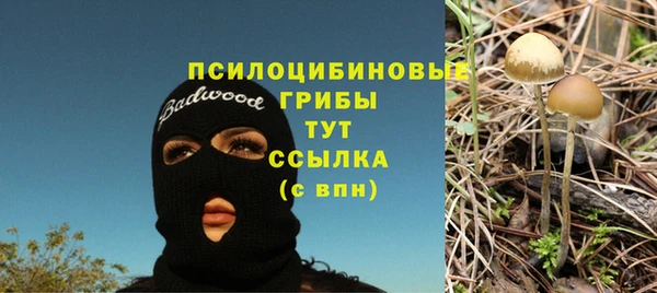 2c-b Пестово
