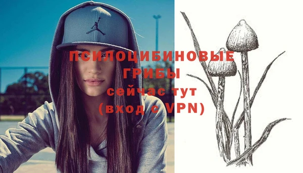 гашик Абдулино