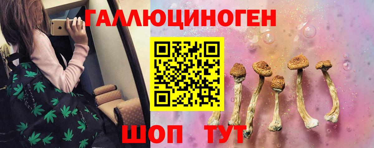Псилоцибиновые грибы GOLDEN TEACHER  Вход с VPN  даркнет сайт  Абакан 