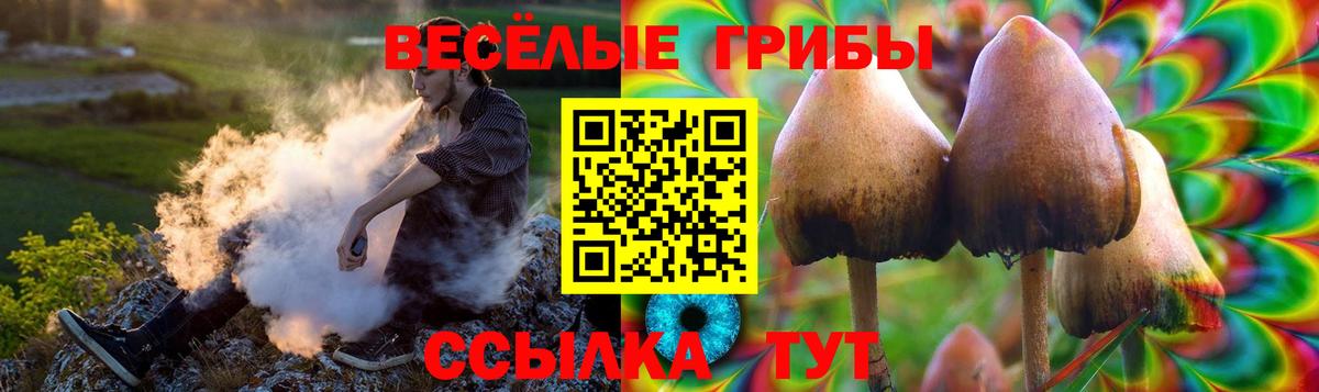 Галлюциногенные грибы мухоморы Абакан